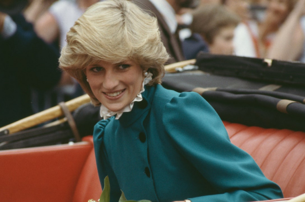 The Princess Diana Statue Unveiling: Everything We Know